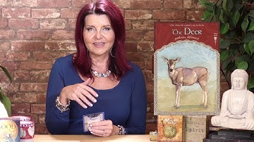 Weekly Oracle Card Guidance and Lesson for Nov 6-12