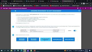 Dataverse Environment Security Management Tool