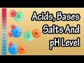 Acids And Bases Salts And pH Level - What Are Acids Bases And Salts - What Is The pH Scale Explained