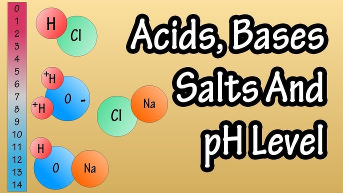 What is the pH Scale?