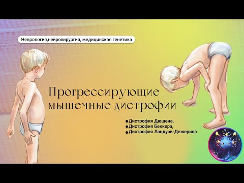 Видео: Где находится ген dmd?