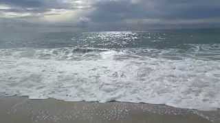 Turtle Beach - But Without The Turtles