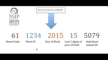 NSIP Pedigree Master Tutorial- Generating ID numbers