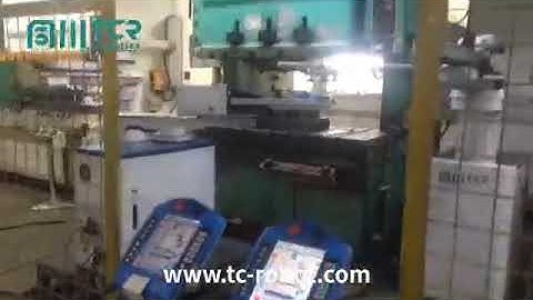 Double Crank C Frame Stamping Machine Automation with 15kg Robotics | TCR-Robotics Thailand