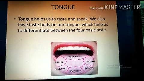 MLZS JHANSI CLASS 4 EVS  Chapter 4 Animals and their Characteristics Lecture 1