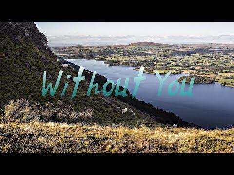 Slander x Kayzo - Without You (Lyrics / Lyric Video) feat. Dylan Matthew
