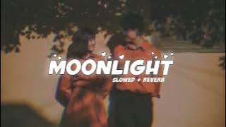 Moonlight - Harnoor |Punjabi Song | slowed and reverb 💖