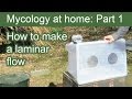 How to make a Laminar Flow ∼ Fume Cabinet ∼ Mycology at Home: Part 1 How to make a Laminar Flow ∼ Fume Cabinet ∼ Mycology at Home: Part 1
