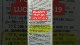 Seja Grato A Deus Por Tudo Resimi