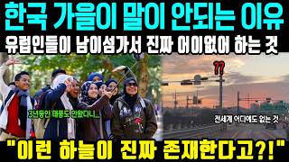 Why my British dad asked, "Did you edit this?" after seeing photos of Korean autumn, and the sigh... screenshot 3