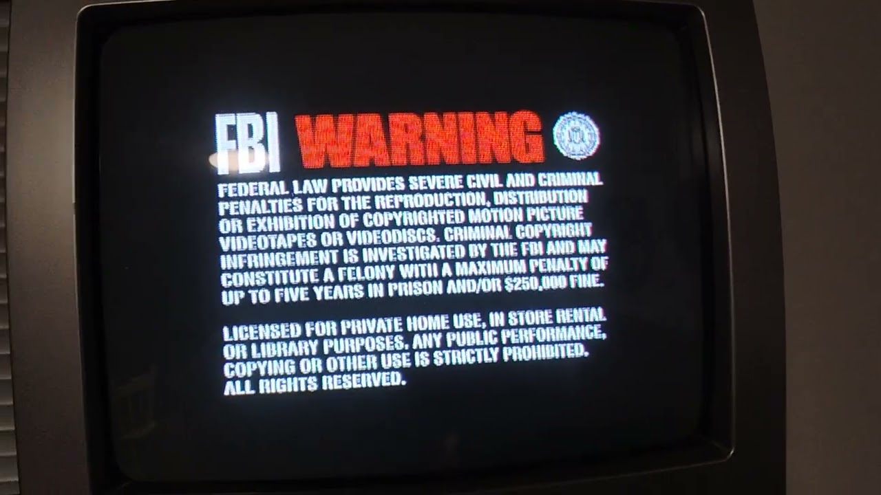 My 13 inch CRT TV DVD combo decided to go cuckoo on me 