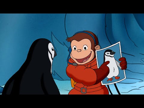 Projekt: Zaginiony pingwin!🐧 | Ciekawski George | Bajki Po Polsku