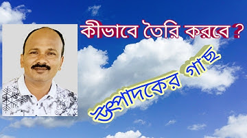 কীভাবে তৈরি করবে উৎপাদকের গাছ,