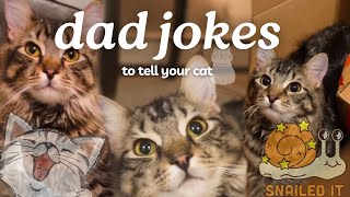 I Told My Cat Dad Jokes