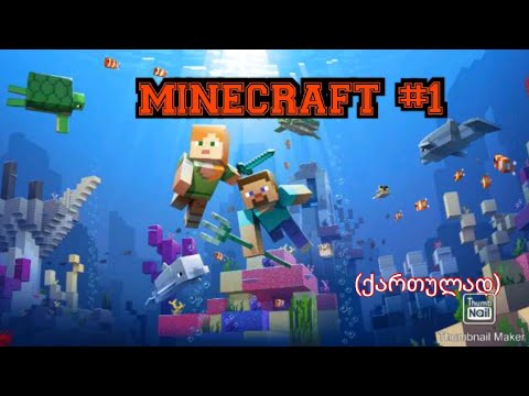 MINECRAFT #1 (ქართულად)