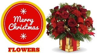 Christmas Flower Delivery | Florist in Pasadena Texas