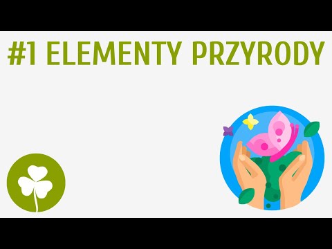 Elementy przyrody #1