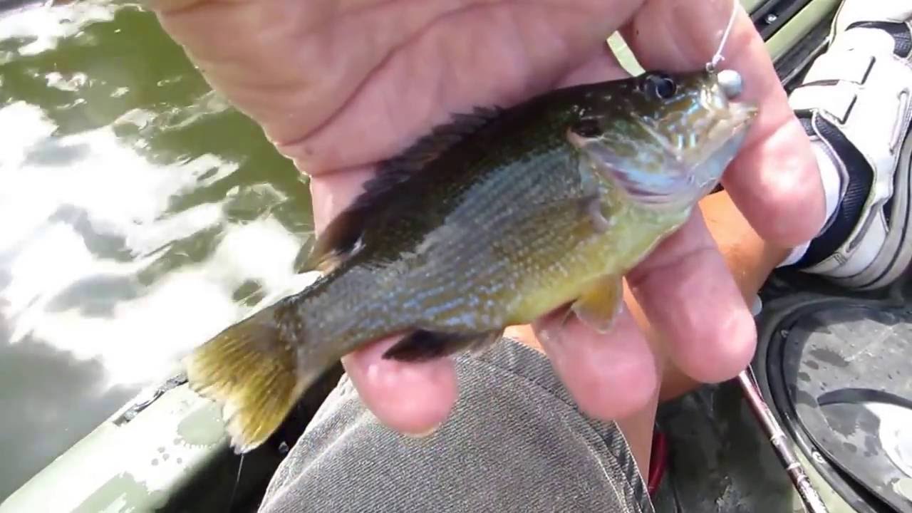 FISH4FUN KAYAKING FISHING ON HARMONY MISSION LAKE YouTube