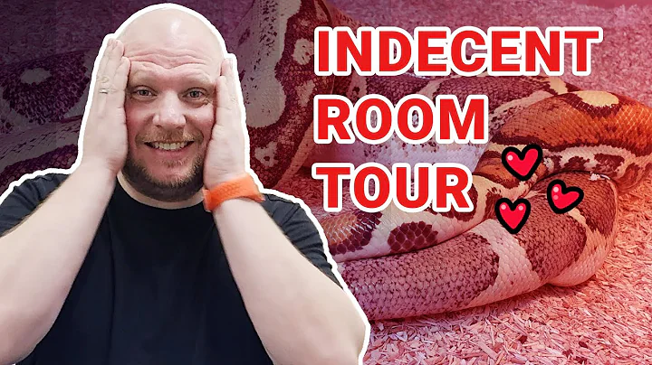 How to know when boas are ready to breed! Tips from Imperatormorphs!