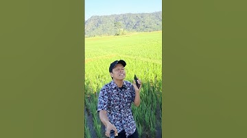 Hindari ini jika ingin terbaca algoritma