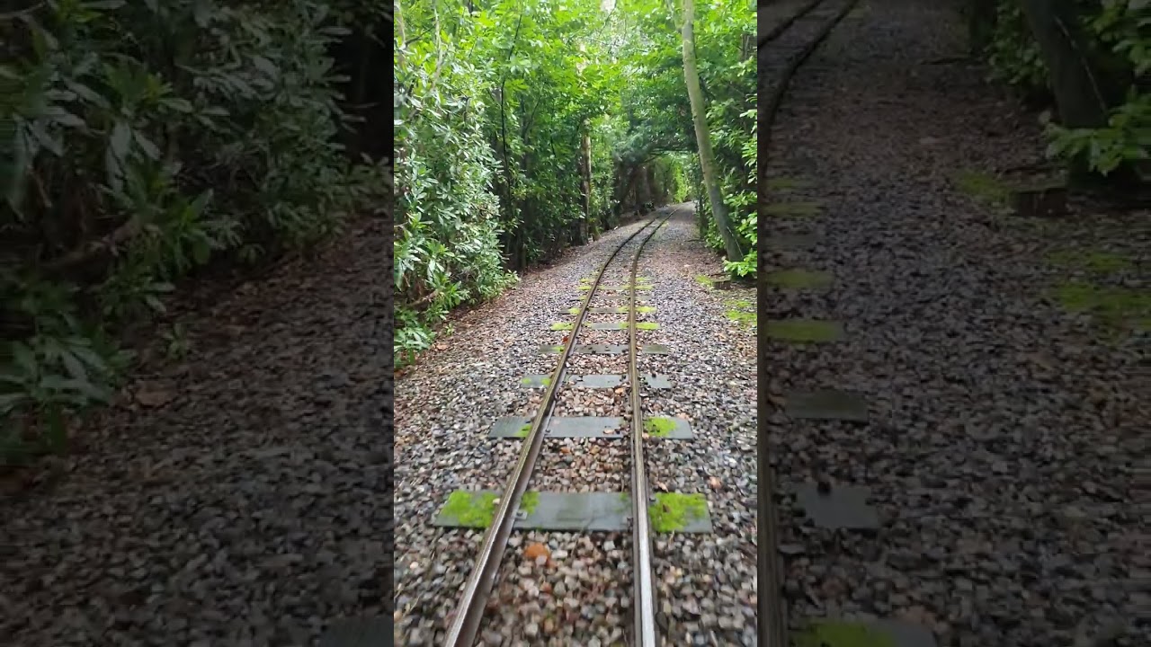 The rio grand train ride 