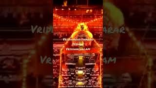 Vriddhagiriswarar Temple Vriddhachalam @vridhachalam #vridhachalam #vridhagiriswarar #omnamahshivaya