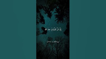 إن شر الدواب عند الله الصم البكم | تلاوة جميلة بصوت ماهر المعيقلي ارح سمعك
