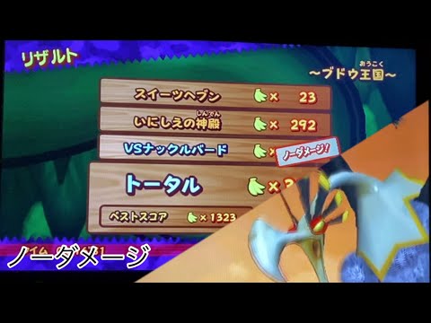 ドンキーコング ジャングルビートWiiナックルバードノーダメージ