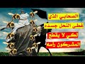 الصحابي الذي أرسل الله له جيشا من النحل ليحميه عاصم بن ثابت قصص الصحابة الصحابي الذي أرسل الله له جيشا من النحل ليحميه عاصم بن ثابت قصص الصحابة