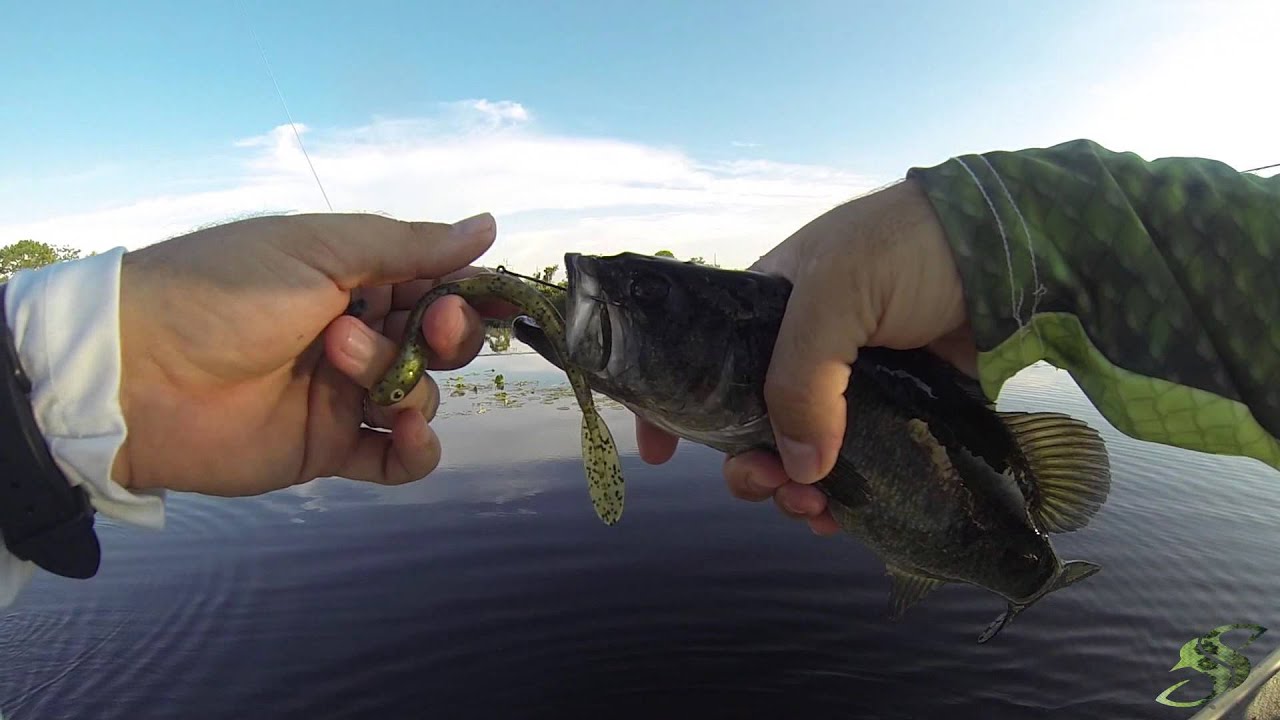 Fishing the Braden River Reservoir - Painful Ending