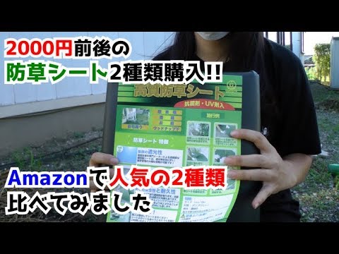 Amazonで人気の 防草シート 2種類比べてみた 長期検証シリーズ Youtube