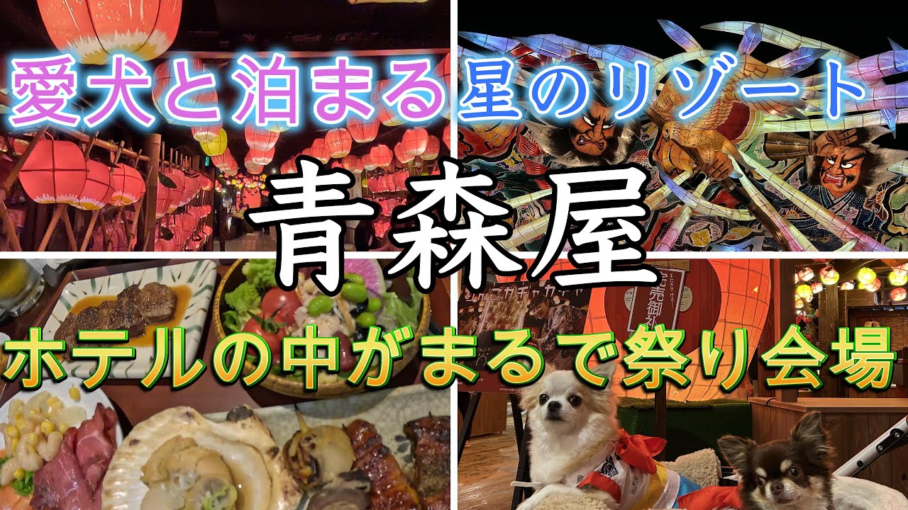 愛犬と泊まれる！星のリゾート青森屋がまさかの”お祭りホテル”だった！