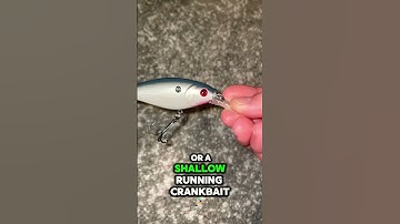 How to spring fish #fishing #springfishing #spring #bassfishing #pikefishing