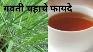 पावसाळ्यात गवती चहा पिण्याचे आरोग्यदायी फायदे| lemon grass tea with multiple benefits|