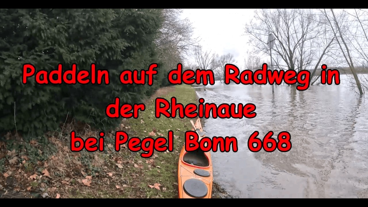 Mit dem Seekajak auf dem Radweg - Bei Hochwasser auf dem Rhein