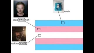 top 5 most transgender breakdowns