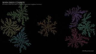 Fractal Growth from Random Walks: Diffusion-Limited Aggregation, 300,000 Particles