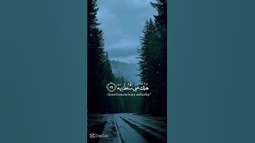 قرأ كريم راحة نفسية #سورة #القزابري #اكسبلور #المصحف #دويتو #duet #لايك #حالات_واتس #الرحمن