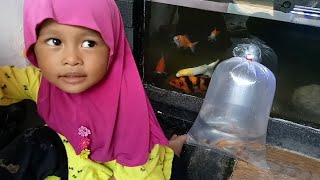 Yasmin Beli Ikan Kecil #ikan #ikankoi
