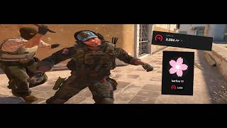 cs2 clip dump
