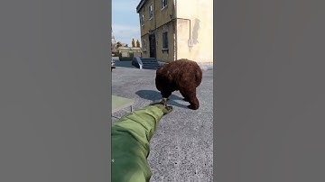 How To Use The Eggsperimental Capsule - DayZ How to Videos