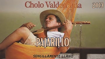 Cholo Valderrama - Pajarillo (Video Audio Oficial)