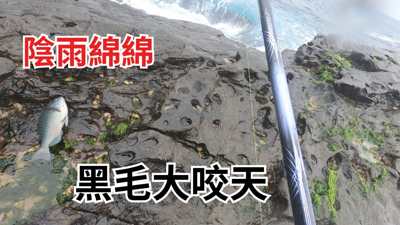 #藻餌磯釣