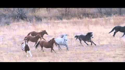 Gait Tutorial Interview 1