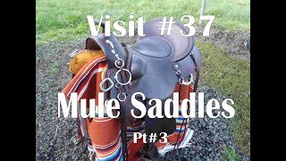 Visit #37   Mule Riding Saddles