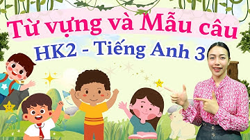 Từ Vựng & Mẫu Câu Tiếng Anh Lớp 3 Siêu Dễ | Viral English