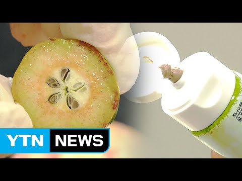 쓸모없던 배 속심, 각질 제거제·치약 변신 / YTN