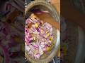 Master gravy जिससे आप 100 से भी ज्यादा सब्जियां बना सकते हैं