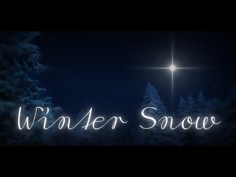 Winter Snow Live Wallpaper