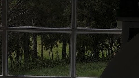 أبو تيمية | رواية خلف عن حمزة | سورة مريم 🦋✨